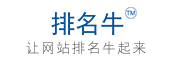 河北排名牛科技有限公司